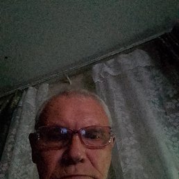 , 65, 