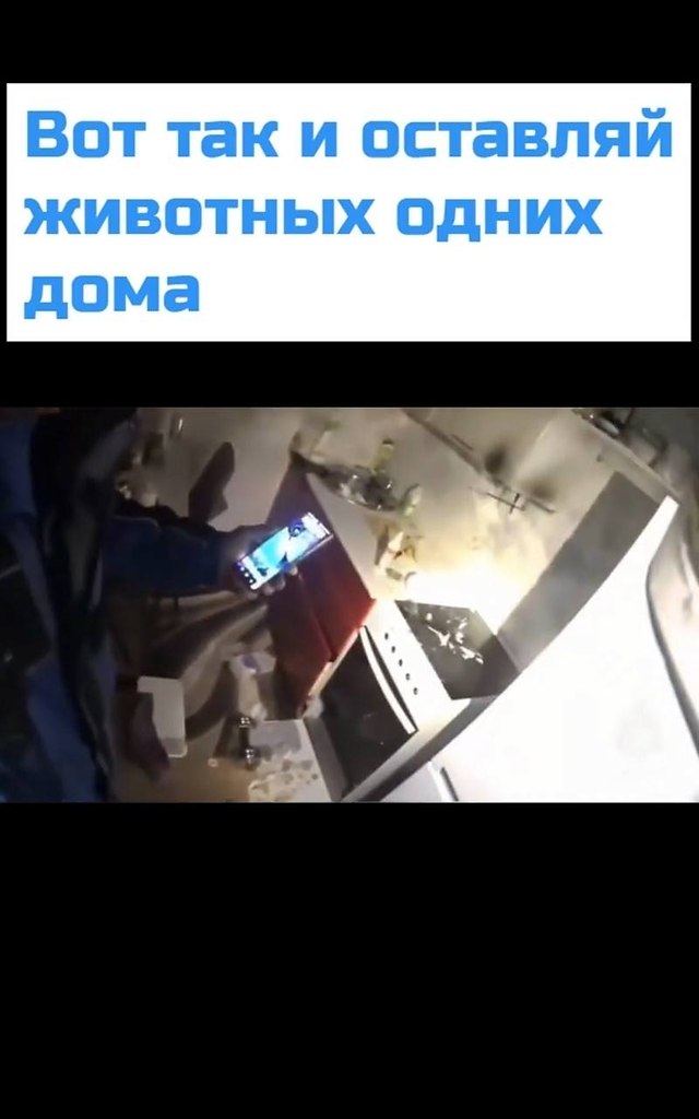 � ������������ ��������� ������� �����, �������� �������� ����� ������. ������� ������� �� ����� ...
