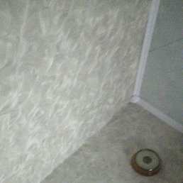 ���� ����, ������, 60 ��� - ��������� 15 ������ 2026