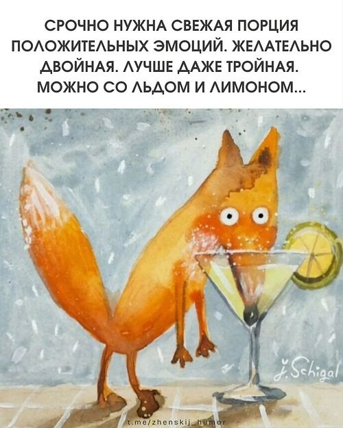   ! - 3  2025  11:23