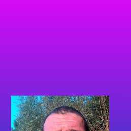 , 30, 