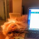 ���� �������, ������, 59 ��� - ��������� 18 ������ 2025 � ������ ������ ��������