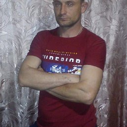 ������, �������, 41 ���