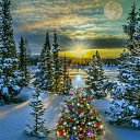 ���� �������, ����� - ��������� 6 ������� 2024 � ������ ������ ��������