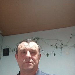  , 51, 