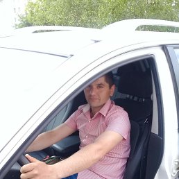 , 31, 