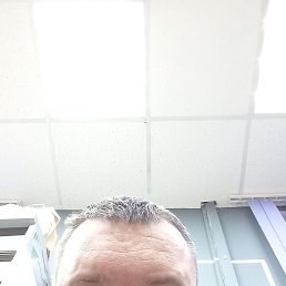 �����, ����������, 42 ����