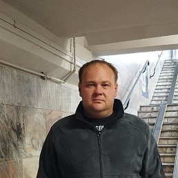 �����, 41 ���, �����������