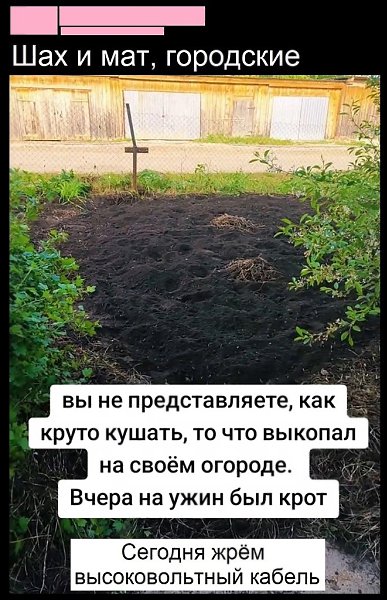 ���� - 30 ��� 2025 � 23:12