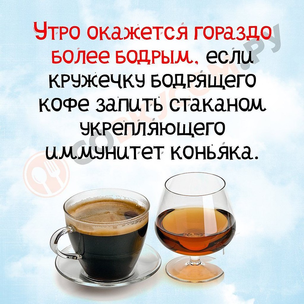 ��� ���� - 9 ����� 2026 � 11:09
