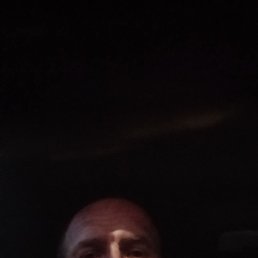, 41,  