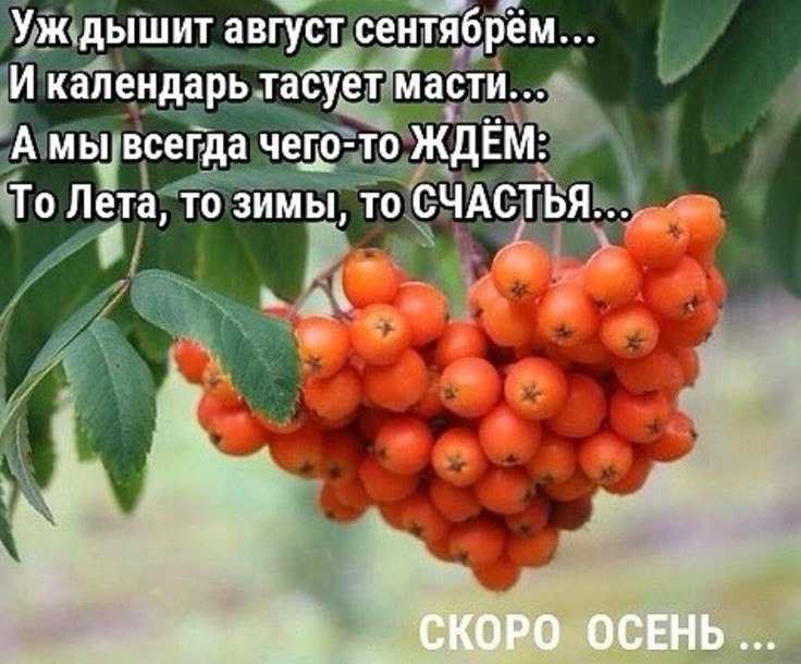  - 14  2025  21:13