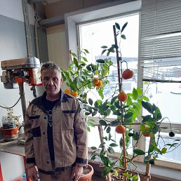 ������ ���������, 58 ���, �����������