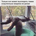 ���� Vita, ������ - ��������� 25 ���� 2026