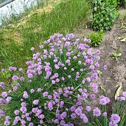 ����, �����, 57 ���