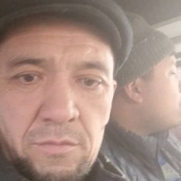 �����, �����-���������, 45 ���