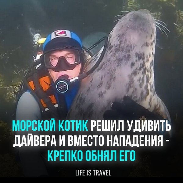 ���� �� ���������� �������� ������ ���� � ������� ������� �������� ��� ����� ��������. ������, �� ...