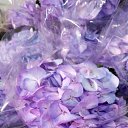 ���� �����, ������, 25 ��� - ��������� 28 ������� 2024 � ������ ���� ����������