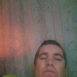 �����, 40 ���, ���