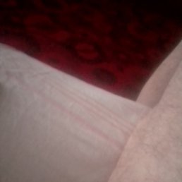   , --, 62  -  3  2024