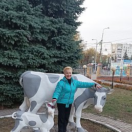 �������, ������, 58 ���