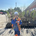 ���� ����, ������, 38 ��� - ��������� 4 ��� 2024 � ������ ���� ����������