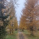 ���� �����, �����-��������� - ��������� 23 ������� 2025 � ������ ���� ����������