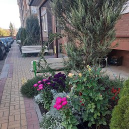 ������, ������, 69 ���