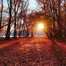 ���� ��, ������, 62 ���� - ��������� 3 ������� 2025