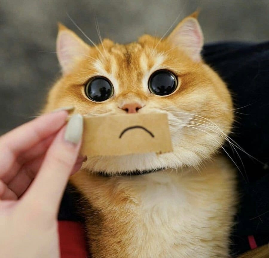        - 4