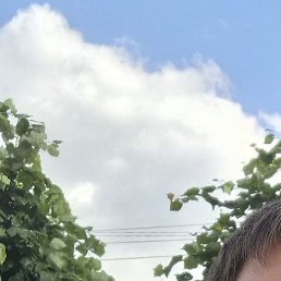 ������, ������, 36 ���