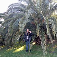 �����, 54 ����, ����