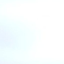 ����, ������, 40 ���