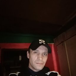 �������, 41 ���, ������