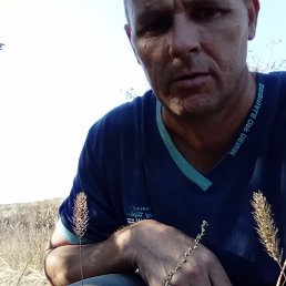 , 46, 