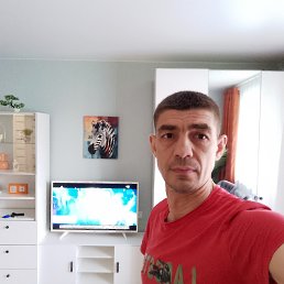 �������, 43 ����, ��������