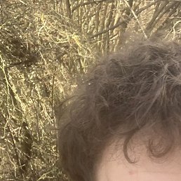 ����, �����, 22 ����