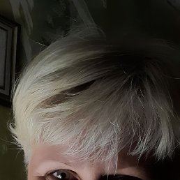 �����, ������, 54 ����