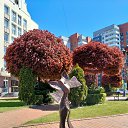 ���� �����, �������-��������� - ��������� 26 ���� 2025 � ������ ���� ����������