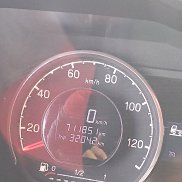 ����������, 41 ���, ������