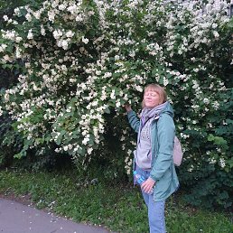 ���� ����, �����-���������, 45 ��� - ��������� 14 ���� 2025