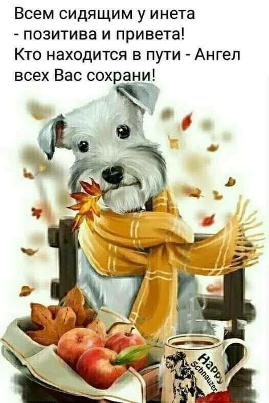 ПРИВЕТСТВИЯ и ПОЖЕЛАНИЯ, открытки на каждый день. - 30 августа 2025 в 16:07 - 3