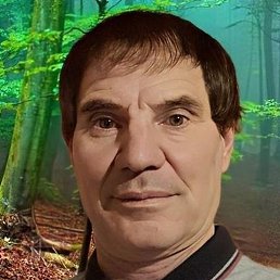 ������, �����-���������, 49 ���