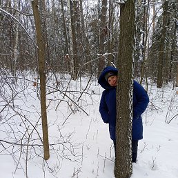 ���� �����, ����, 56 ��� - ��������� 26 ������� 2023