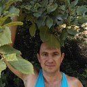 ���� ������, ���� - ��������� 4 ������� 2025