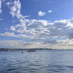 Alex, ���������, 32 ����
