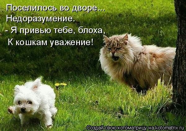 ������ - 12 ������ 2024 � 19:30