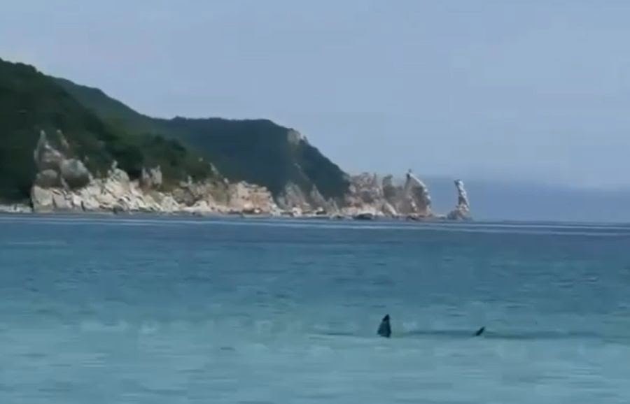����� ������������Ȼ ���� � ��������: ������ �������� ��������� �����.������ ���������� ���� ...