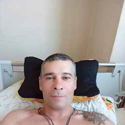 , 41, -