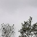 ���� ���������, ������, 86 ��� - ��������� 6 ������ 2025 � ������ ���� ����������